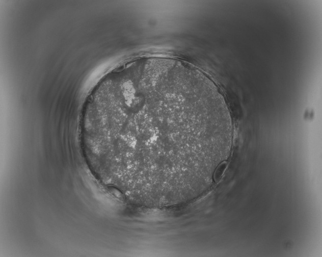 X0000112510293200908311339