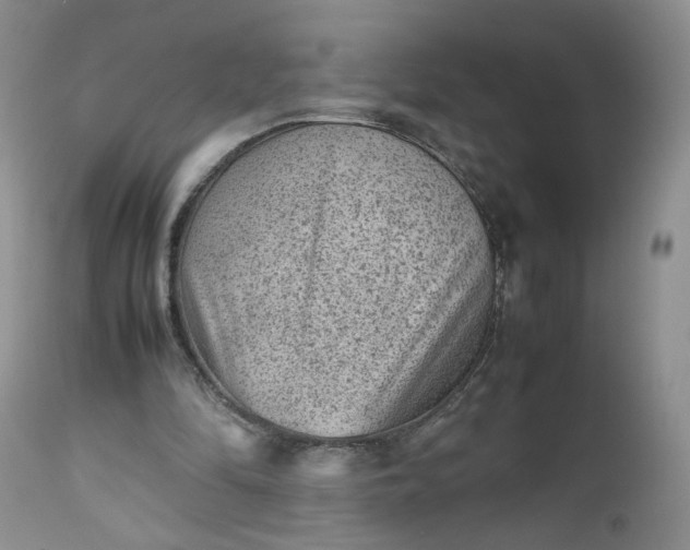 X0000112510294200908311339