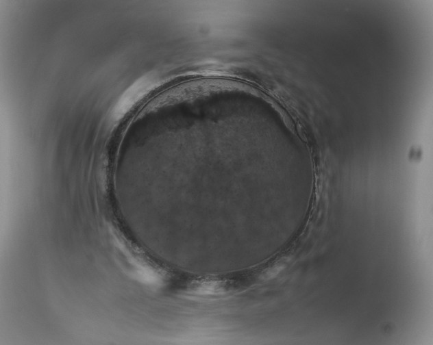 X0000112510295200908311339