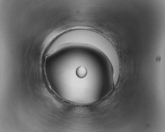 X0000112510296200908311339