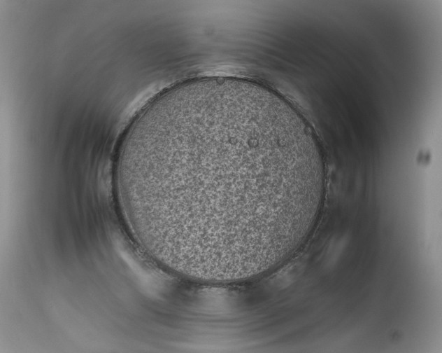 X0000112510298200908311339