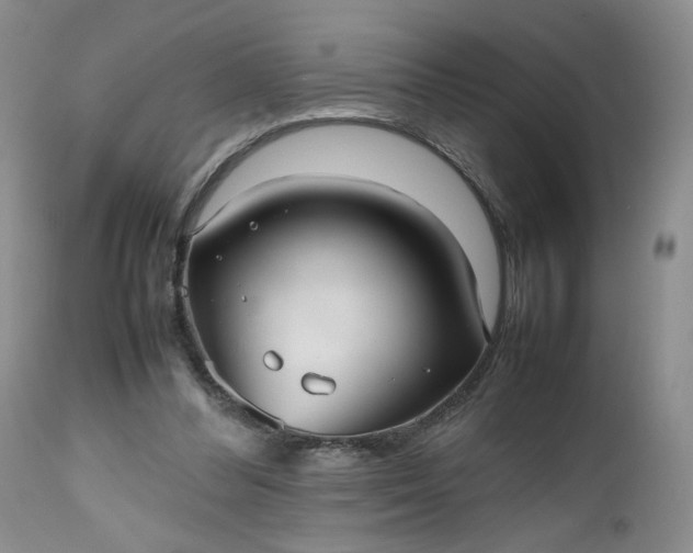 X0000112510300200908311339