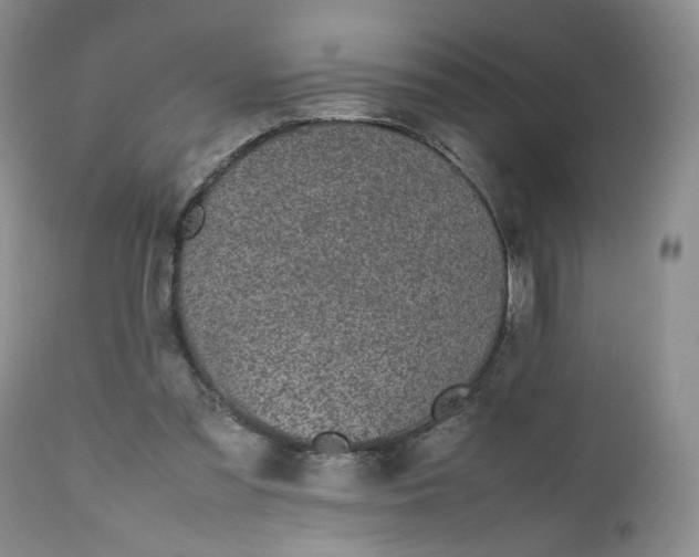 X0000112510301200908311339