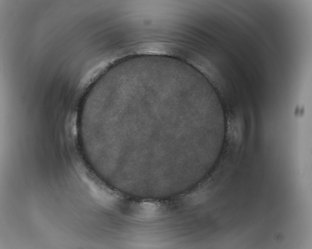 X0000112510302200908311339