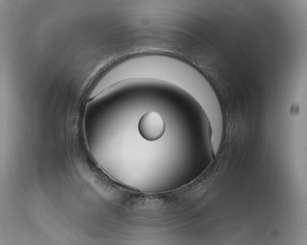 X0000112510304200908311339