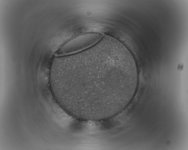 X0000112510305200908311339