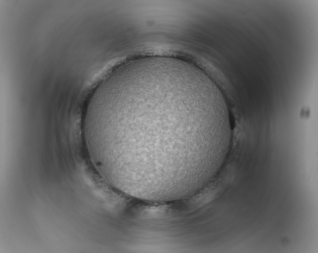 X0000112510306200908311339