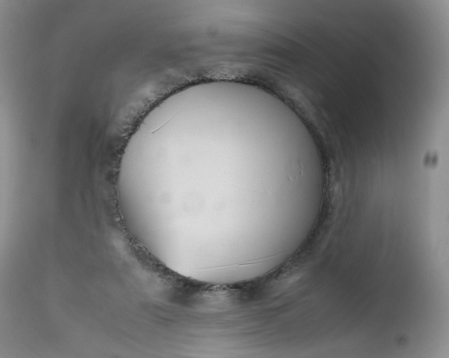 X0000112510307200908311339