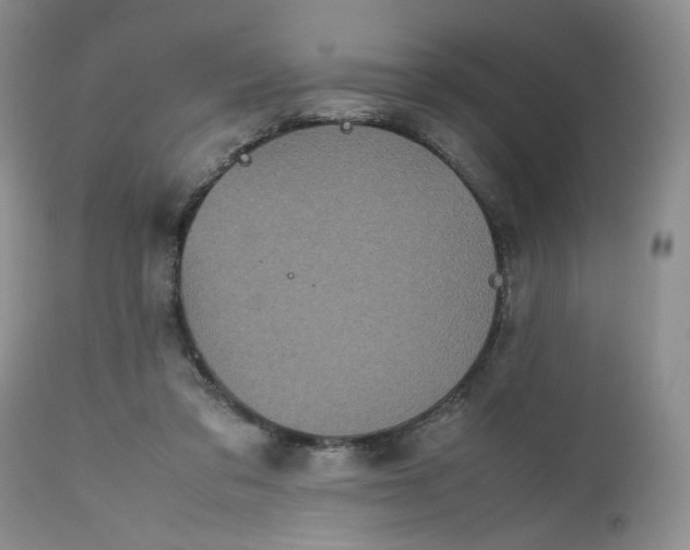 X0000112510309200908311339