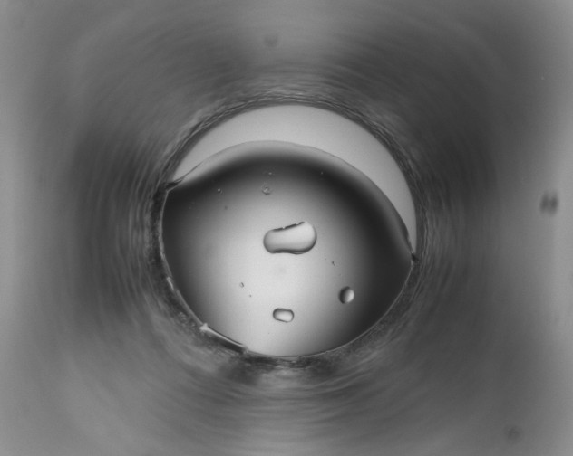 X0000112510312200908311339