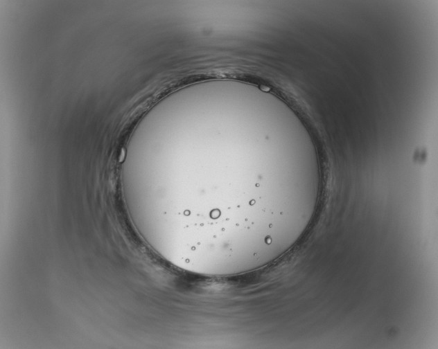 X0000112510313200908311339