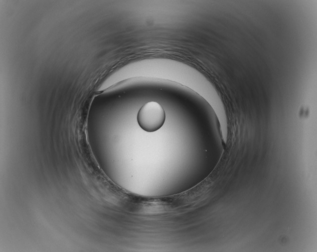 X0000112510316200908311339