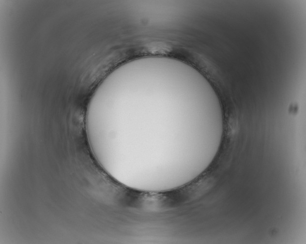 X0000112510321200908311339