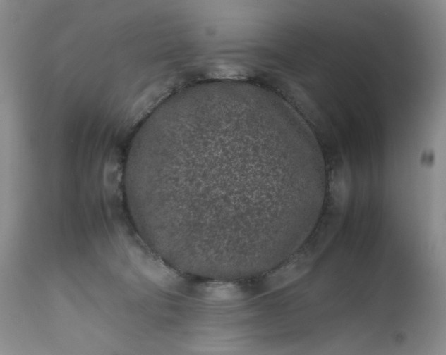 X0000112510322200908311339