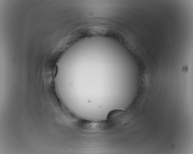 X0000112510323200908311339