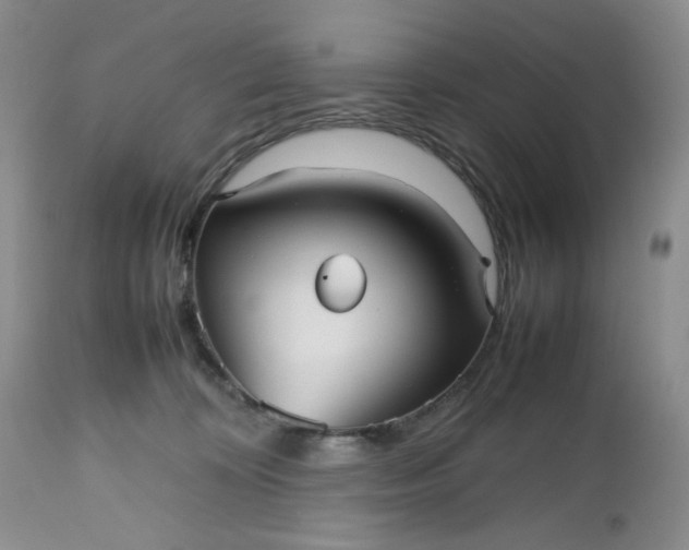 X0000112510324200908311339