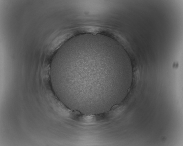 X0000112510325200908311339