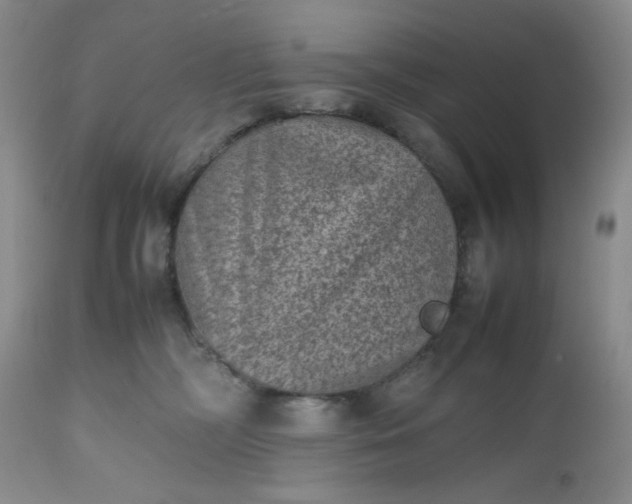 X0000112510326200908311339