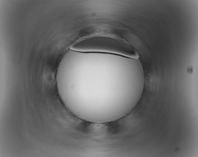 X0000112510327200908311339