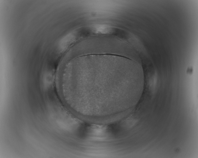 X0000112510328200908311339