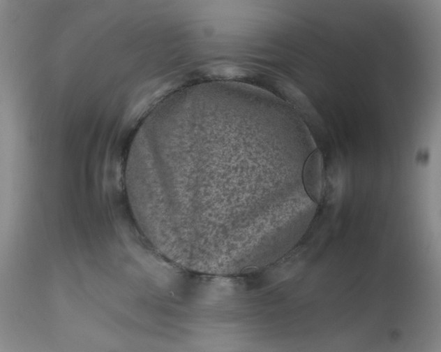 X0000112510330200908311339