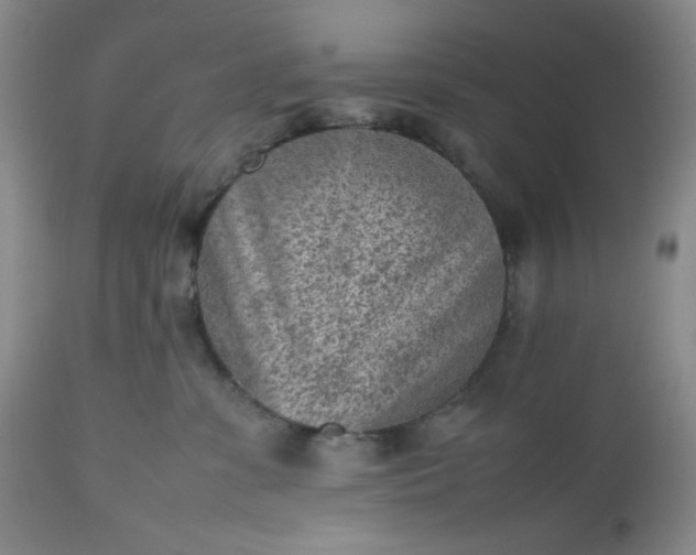 X0000112510331200908311339