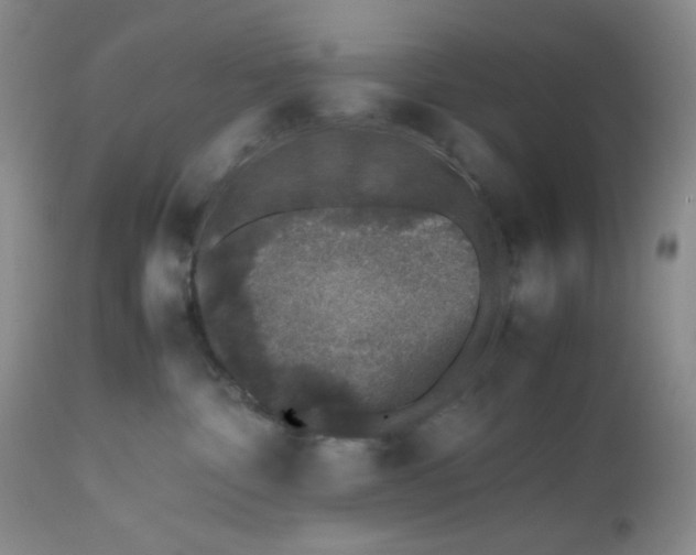 X0000112510332200908311338