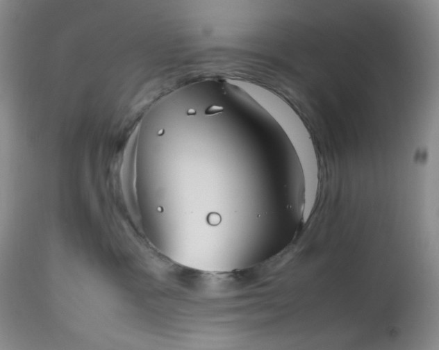 X0000112510333200908311338