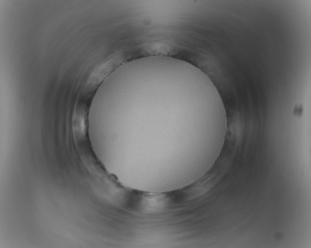 X0000112510334200908311338