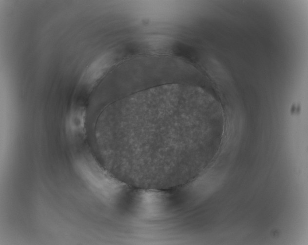 X0000112510336200908311338