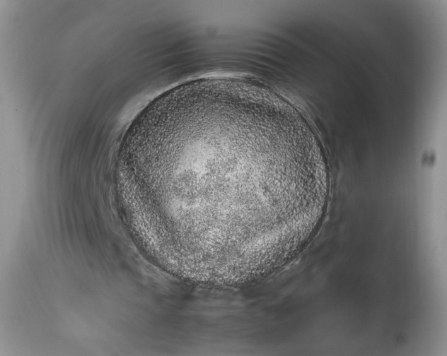 X0000112510337200908311338