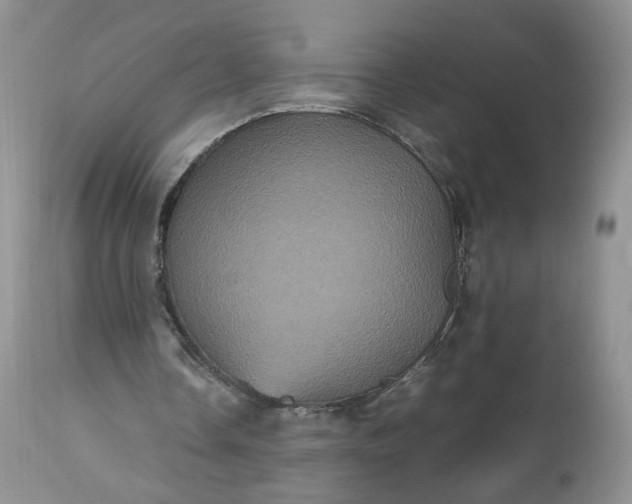 X0000112510338200908311338