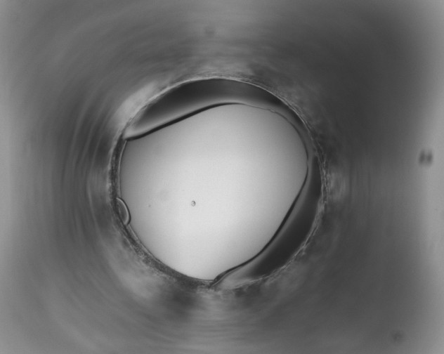 X0000112510340200908311338