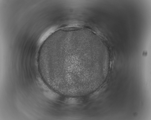 X0000112510341200908311338