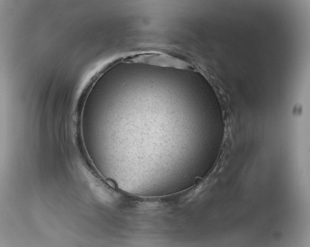 X0000112510342200908311338