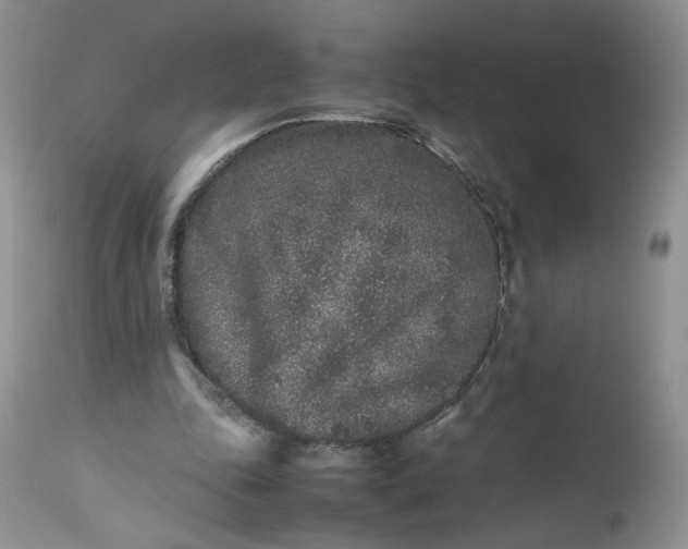 X0000112510343200908311338