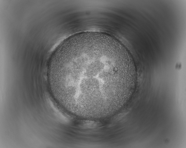 X0000112510347200908311338