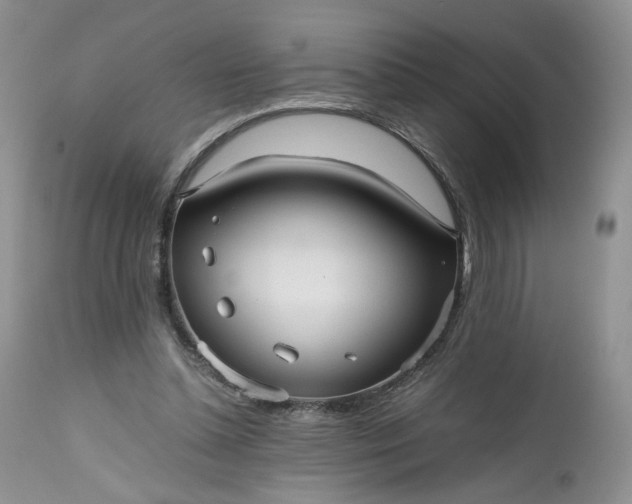 X0000112510348200908311338