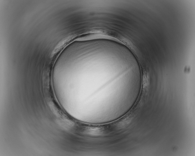 X0000112510349200908311338