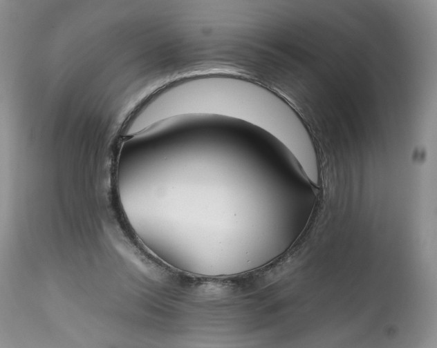 X0000112510350200908311338