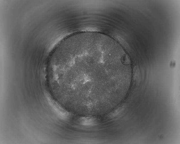 X0000112510351200908311338