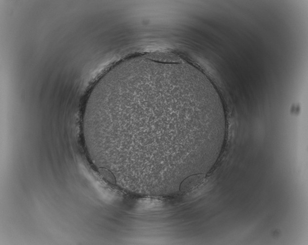 X0000112510354200908311338