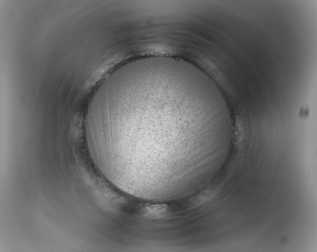 X0000112510355200908311338