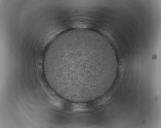 X0000112510359200908311338