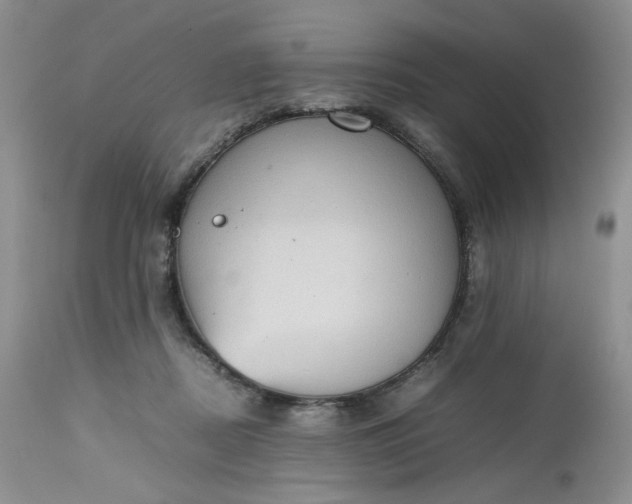 X0000112510362200908311338