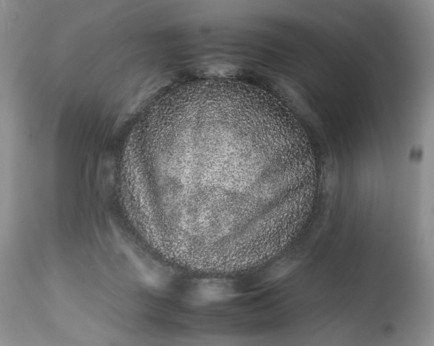 X0000112510363200908311338