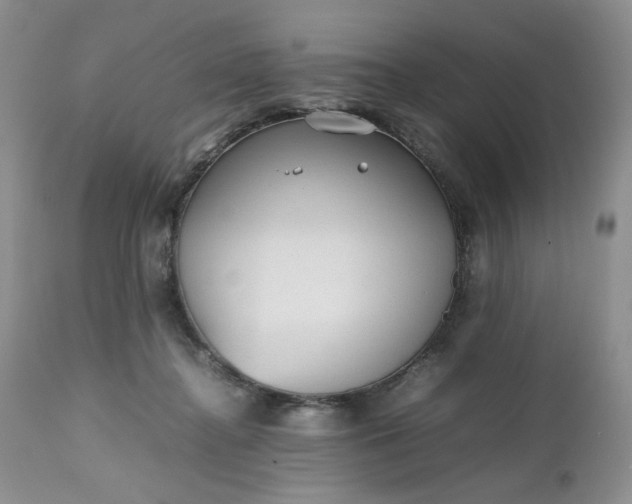 X0000112510364200908311338