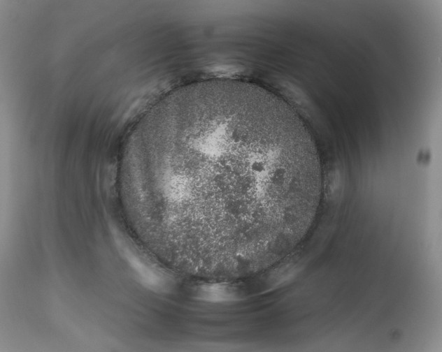 X0000112510365200908311338