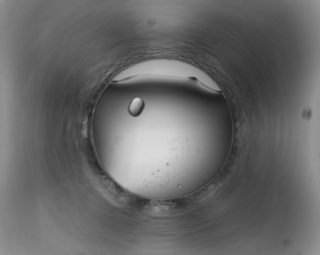 X0000112510368200908311338