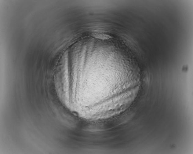 X0000112510369200908311338